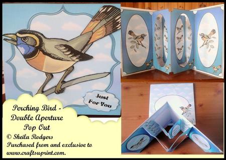 Perching Bird - Double Aperture Pop Out Card