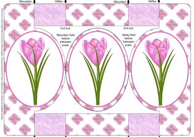 Pink Crocus Oval Folded Pop Out Card
