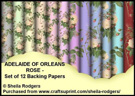 Adelaide of Orleans Rose - Set of 12 Backing Papers
