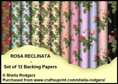 Rosa Reclinata - Set of 12 Backing Papers