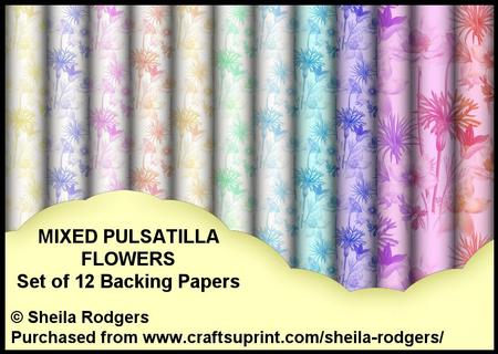 Mixed Pulsatilla Flowers - Set of 12 Backing Papers