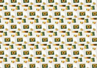 Photos of  -  Sunflowers - Backing Paper