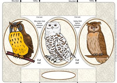 Owls Pop Out Card