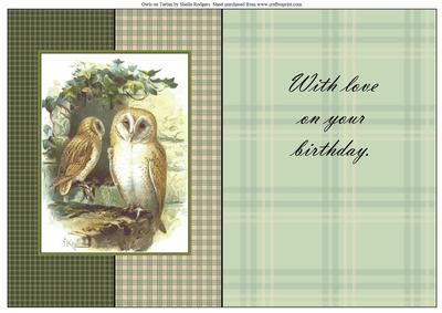 Owls on Tartan