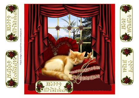 Pampered Christmas Cat