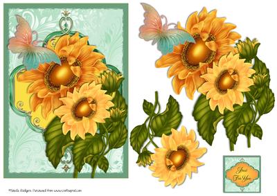Sunflowers