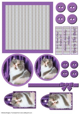 Mix'n'match - Fluffy Cat on Purple
