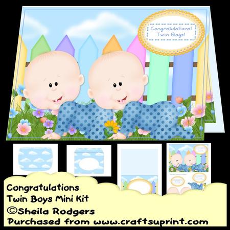 Congratulations Twin Boys Mini Kit