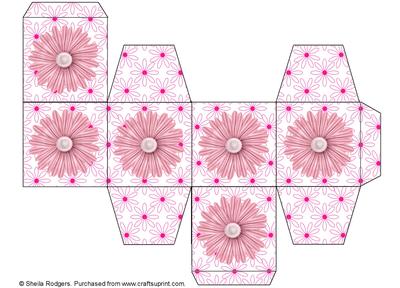 All in One Gift Box - Pink Daisy Flowers