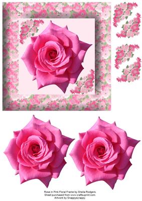Rose in Pink Floral Frame