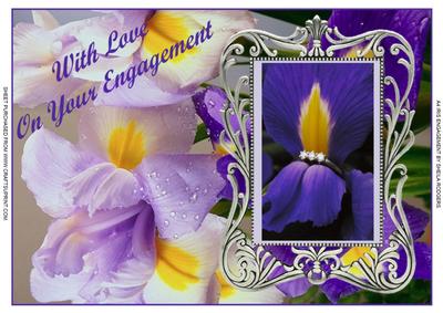 A4 Iris Engagement
