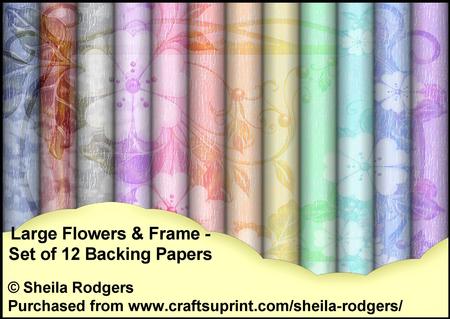 Large Flowers and Frame - Set of 12 Backing Papers