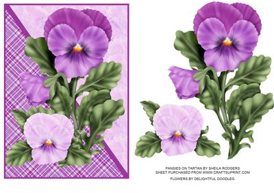 Pansies on Tartan