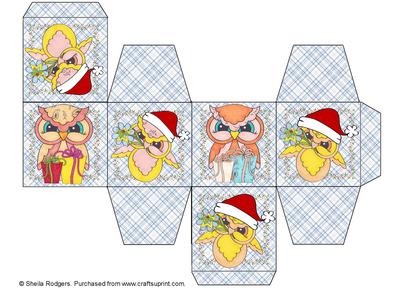 All in One Gift Box - Christmas Owls Berry Border