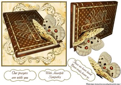 Bible Butterfly Sympathy 2