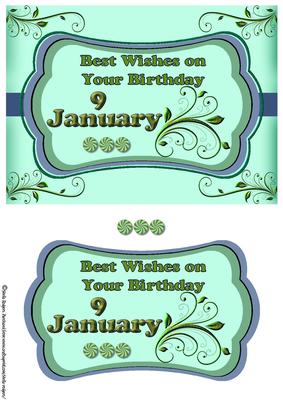 Day of the Year Birthday - January 9