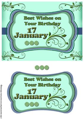 Day of the Year Birthday - January 17