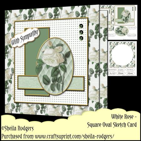 Square Oval Sketch Card - White Rose