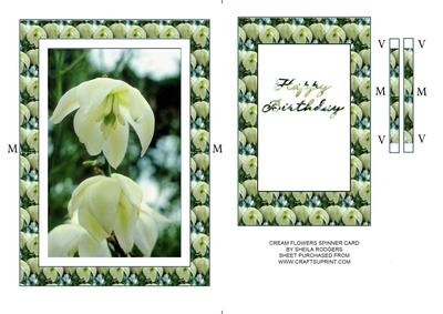 Cream Flowers Spinner Card