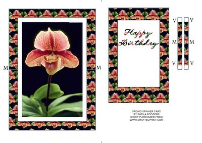 Orchid Spinner Card