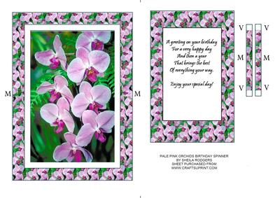 Pale Pink Orchids Birthday Spinner