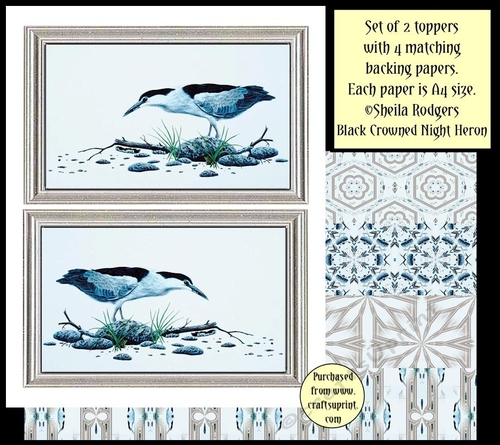 Topper Kit - Black Crowned Night Heron