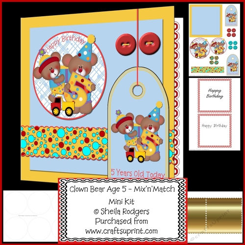 MixnMatch - Clown Bear Age 5