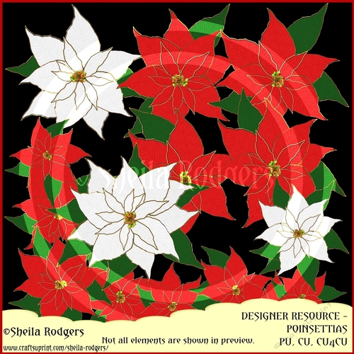 Christmas Poinsettias
