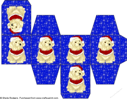 All In One Gift Box - Santa Puppy