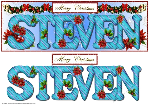 Large DL Poinsettia - STEVEN