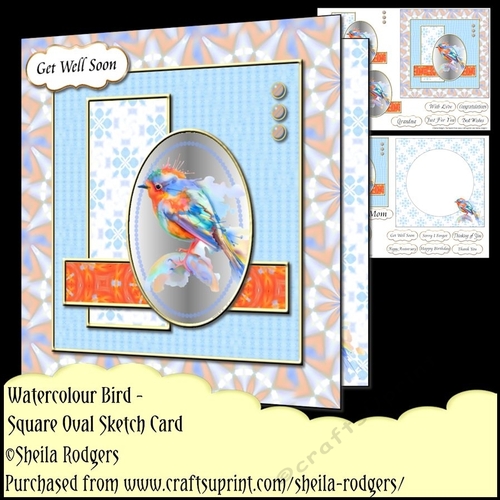 Square Oval Sketch Card - Watercolour Bird