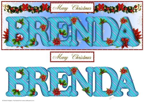 Large DL Poinsettia - BRENDA