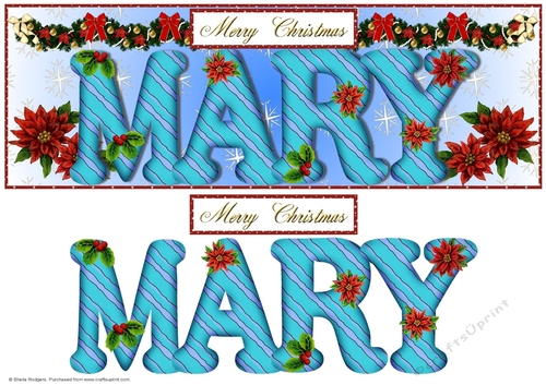 Large DL Poinsettia - MARY