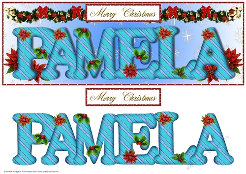 Large DL Poinsettia - PAMELA