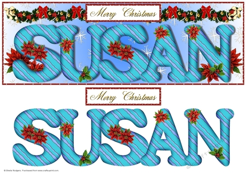 Large DL Poinsettia - SUSAN