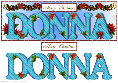 Large DL Poinsettia - DONNA