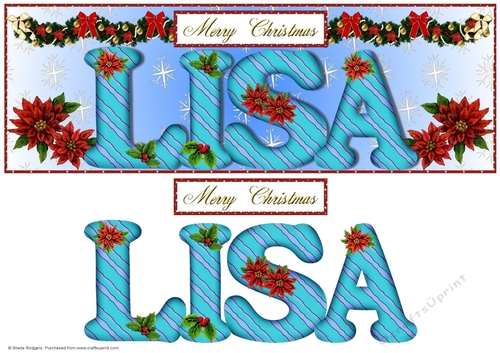Large DL Poinsettia - LISA