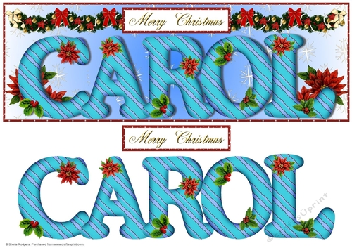 Large DL Poinsettia - CAROL