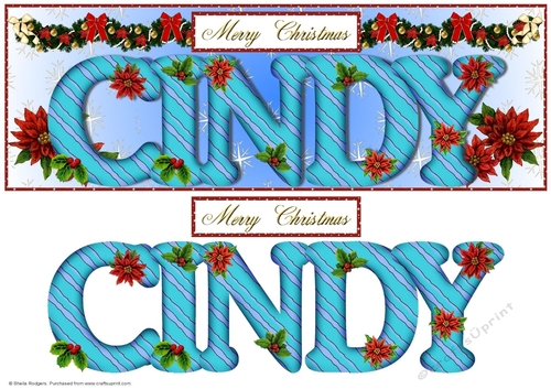 Large DL Poinsettia - CINDY