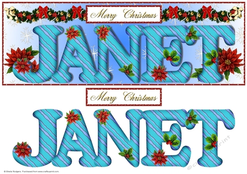 Large DL Poinsettia - JANET