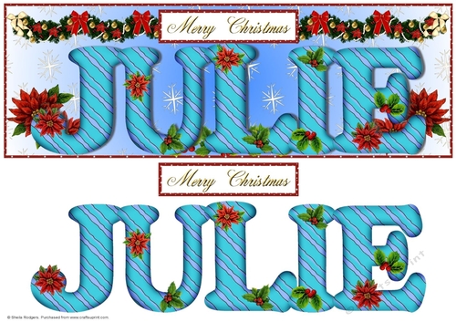 Large DL Poinsettia - JULIE