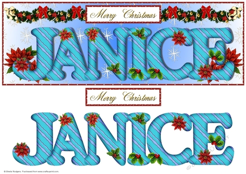 Large DL Poinsettia - JANICE