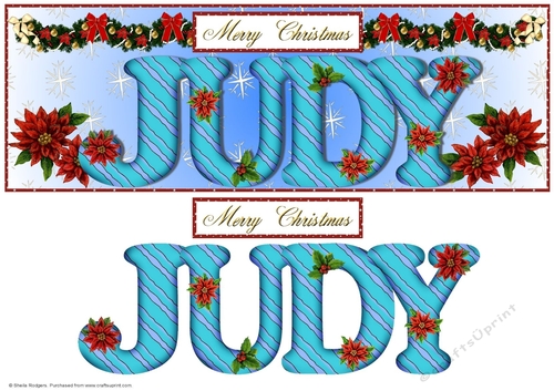 Large DL Poinsettia - JUDY