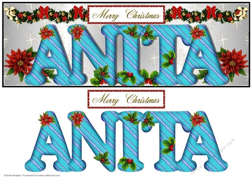 Large DL Poinsettia - ANITA