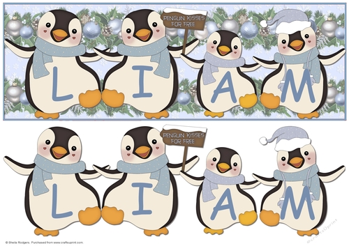 PENGUIN KISSES - LIAM