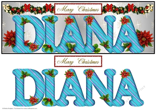Large DL Poinsettia - DIANA