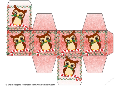 All In One Gift Box - Brown Christmas Owls