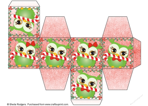 All In One Gift Box - Green Christmas Owls