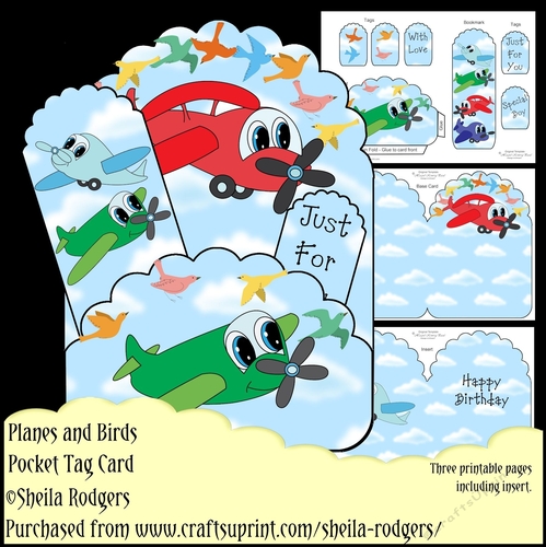 Pocket Tag Card - Planes and Birds