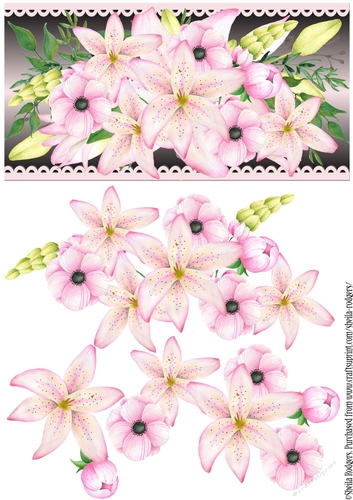 Pink Lilies and Peonies on Black
